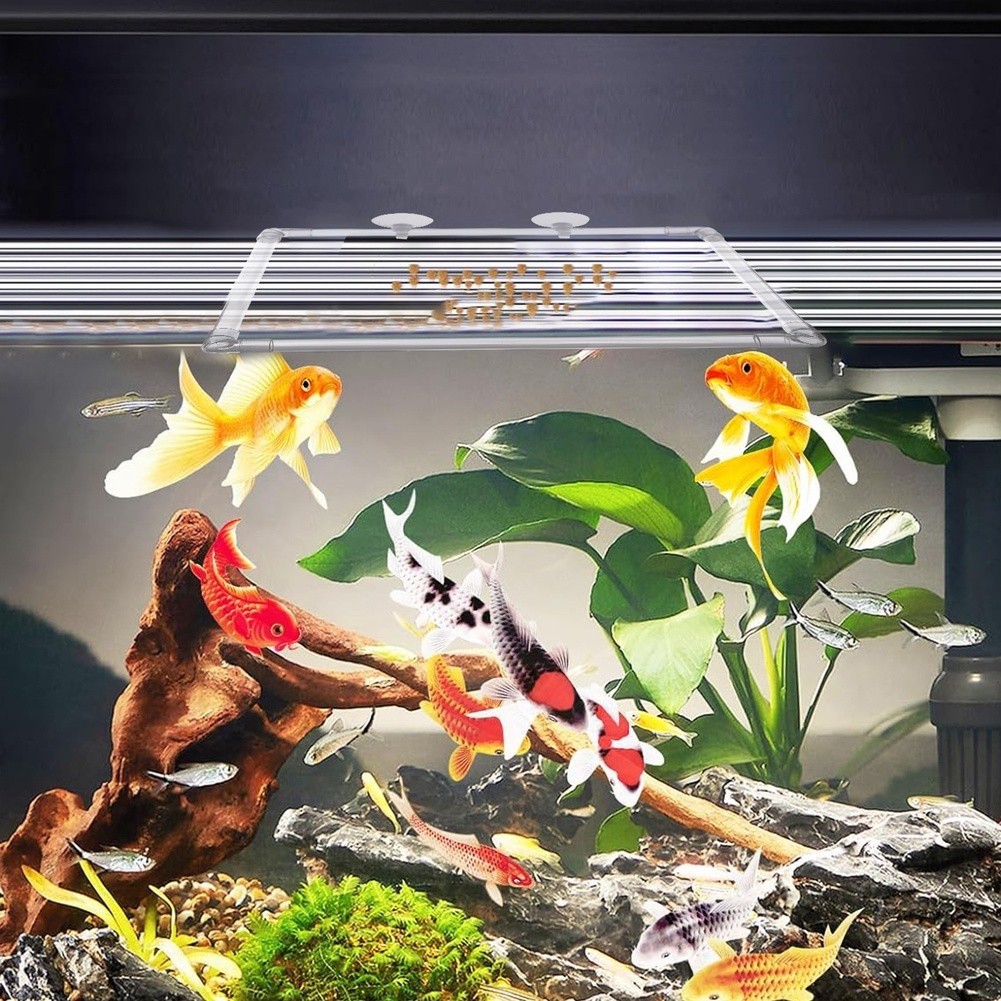 Aquarium Fish Zone - حوض نباتات عائمة للأحواض المائية الأكريليكية