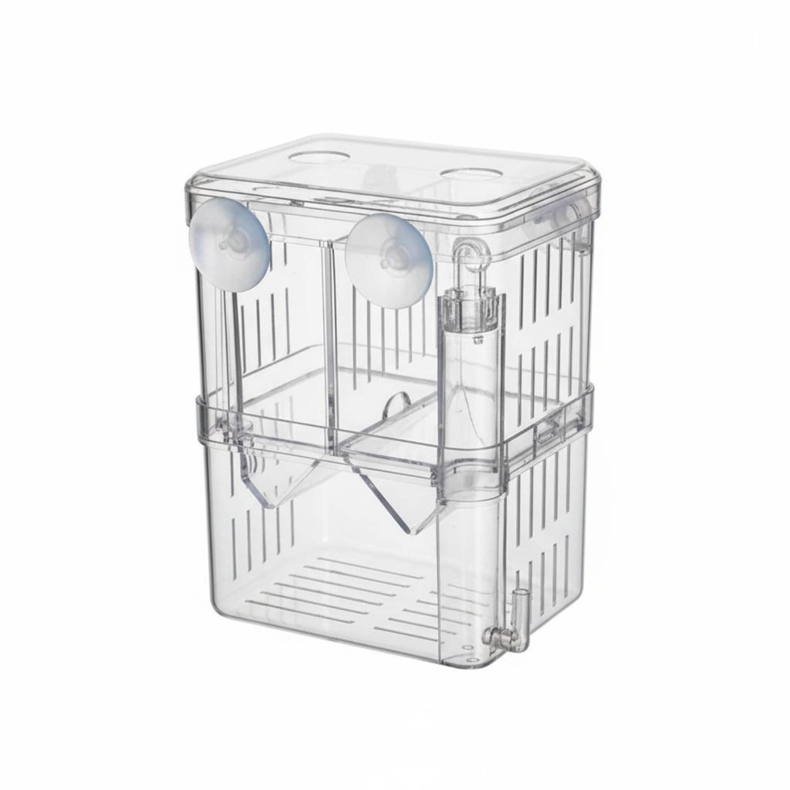 Box Fish In Aquarium - حوض تربية مزدوج الطبقات لأسماك الزينة،
