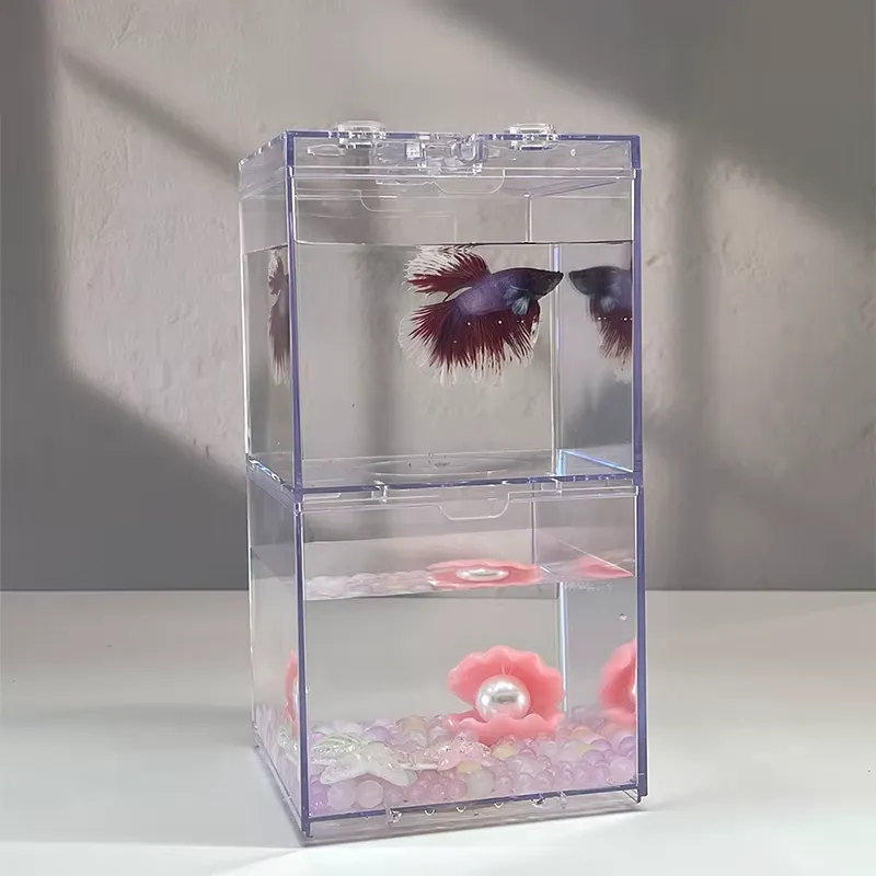 Box Fish In Aquarium - حوض أسماك صغير متعدد الوظائف من