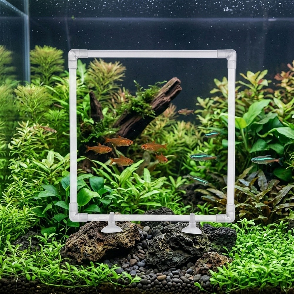 Aquarium Fish Zone - حوض عائم للنباتات في أحواض السمك