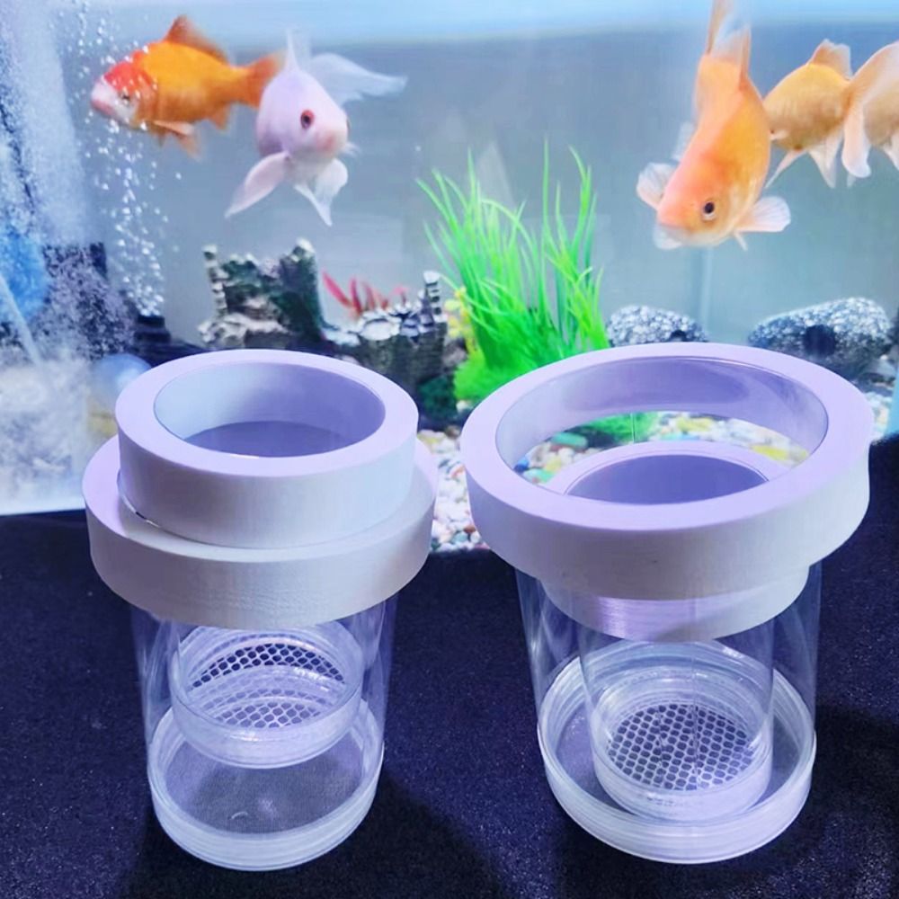 Box Fish In Aquarium - البلاستيك العائمة تربية الأسماك عزل صندوق