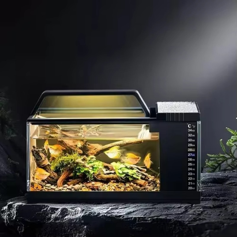 Aquarium Fish Low Maintenance - حوض سمك على الطراز الأمريكي الجنوبي
