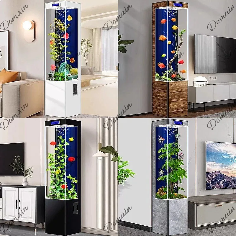 Aquarium Fish Low Maintenance - حوض سمك صغير ومتوسط الحجم صديق
