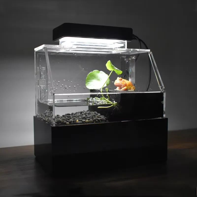 Aquarium Fish For Sale - حوض أسماك مكتبي مخصص من ريلاكسلاينز،
