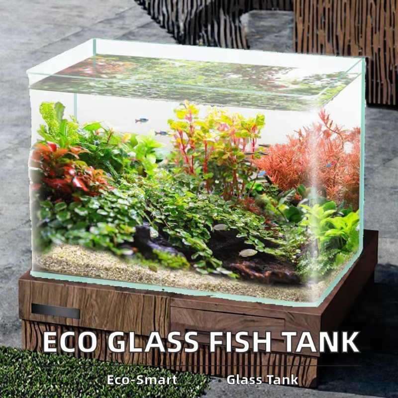 صندوق تعبئة سطح المكتب لحوض ال - مراجعة Box Fish In Aquarium وسعره