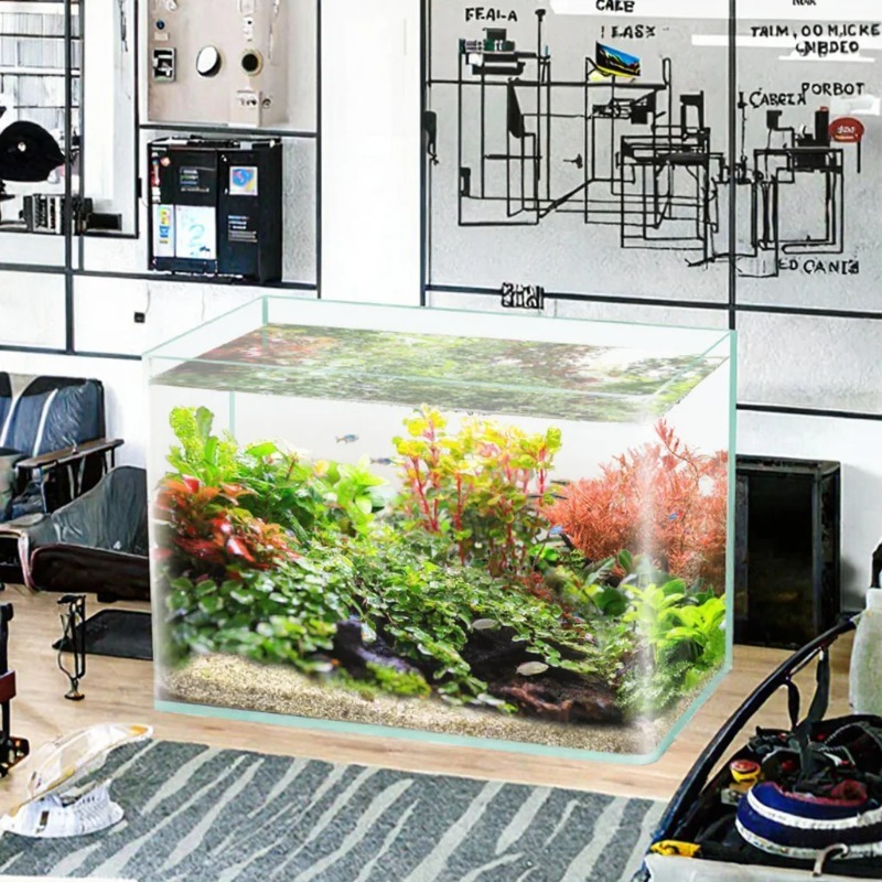 صندوق تعبئة سطح المكتب لحوض ال - مراجعة Box Fish In Aquarium وسعره