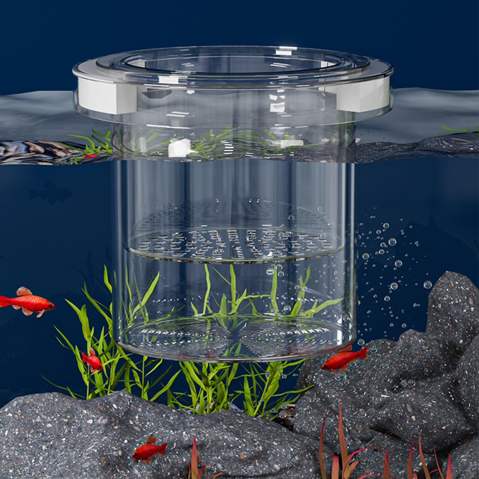 صندوق عزل لتربية الأسماك العائ - مراجعة Box Fish In Aquarium وسعره