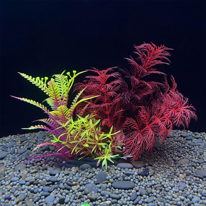 حوض السمك الاصطناعي الديكور نب - مراجعة Aquarium Fish For Sale وسعره