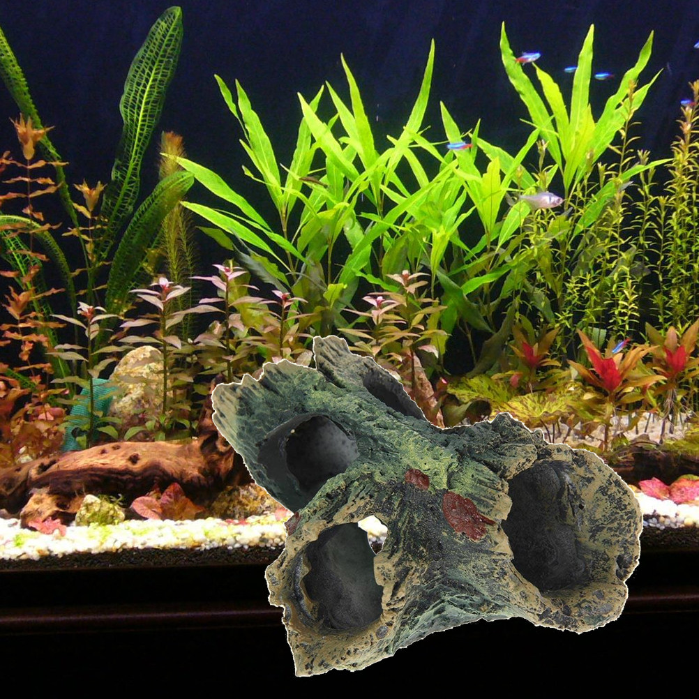 ديكور جديد على شكل جذع شجرة من - مراجعة Aquarium Fish Low Maintenance وسعره