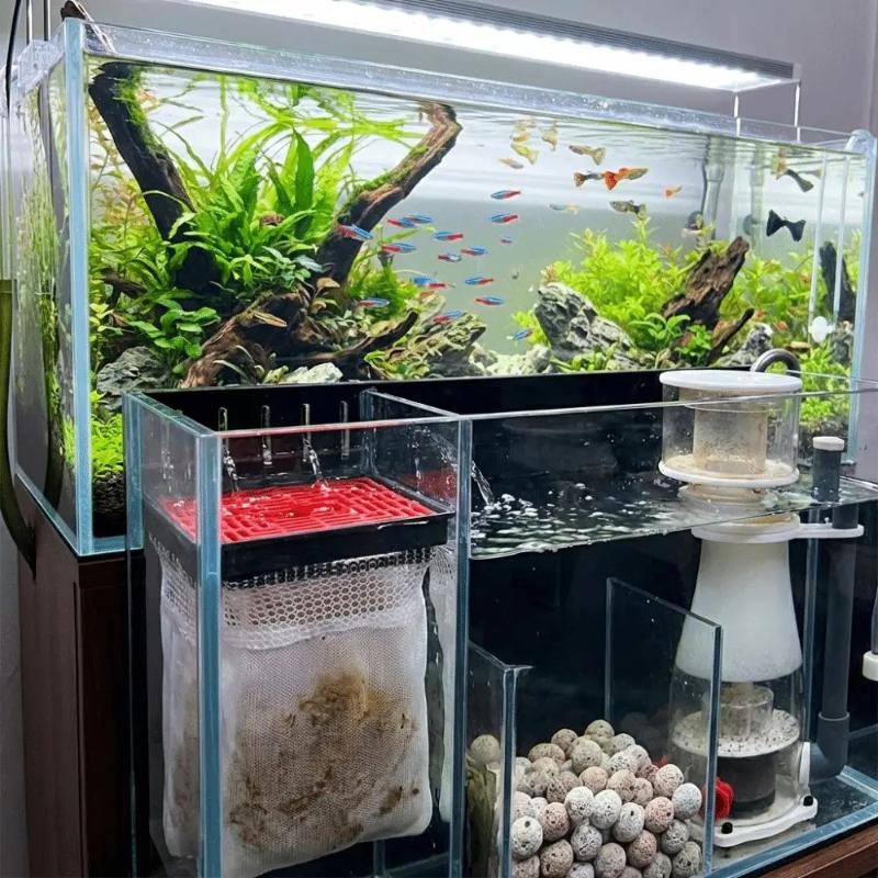 كيس فلتر حوض السمك، نظام ترشيح - مراجعة Box Fish In Aquarium وسعره