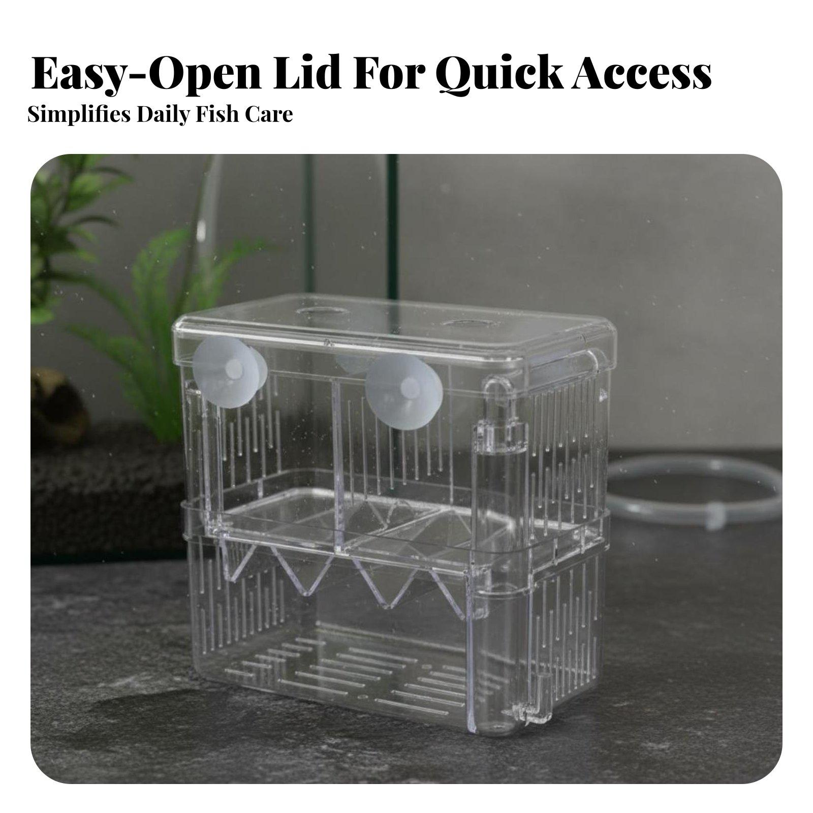 حوض تربية مزدوج الطبقات لأسماك - مراجعة Box Fish In Aquarium وسعره