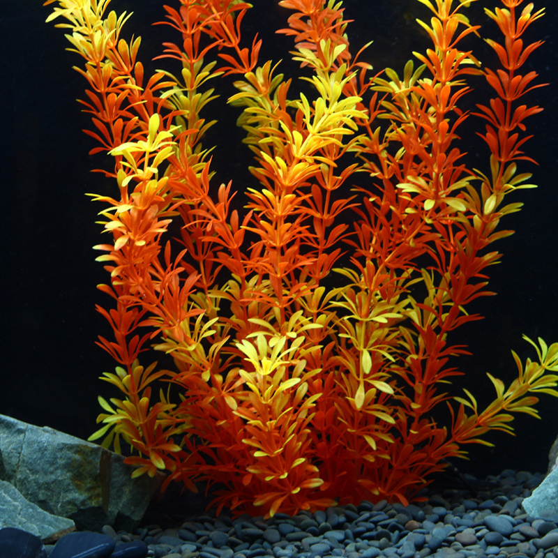 نباتات استوائية اصطناعية بطول  - مراجعة Aquarium Fish Buy وسعره