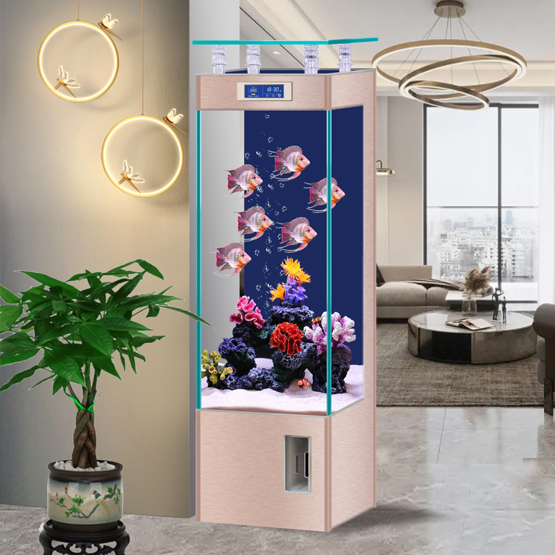 زجاج فائق الوضوح صغير إلى متوس - مراجعة Aquarium Fish Low Maintenance وسعره