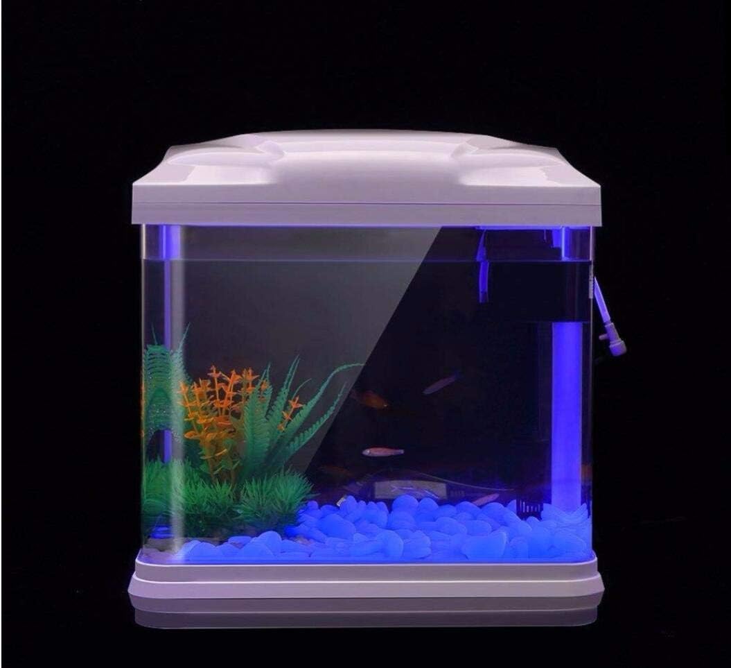 حوض السمك الصخور توهج الحصى ال - مراجعة Aquarium Fish Buy وسعره