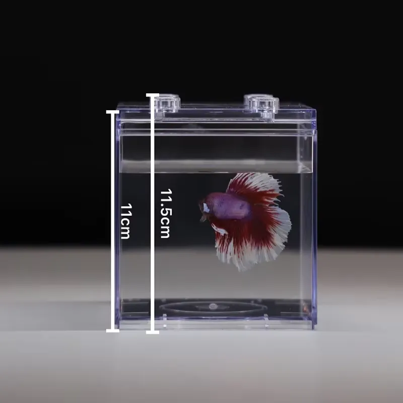 حوض أسماك صغير متعدد الوظائف م - مراجعة Box Fish In Aquarium وسعره