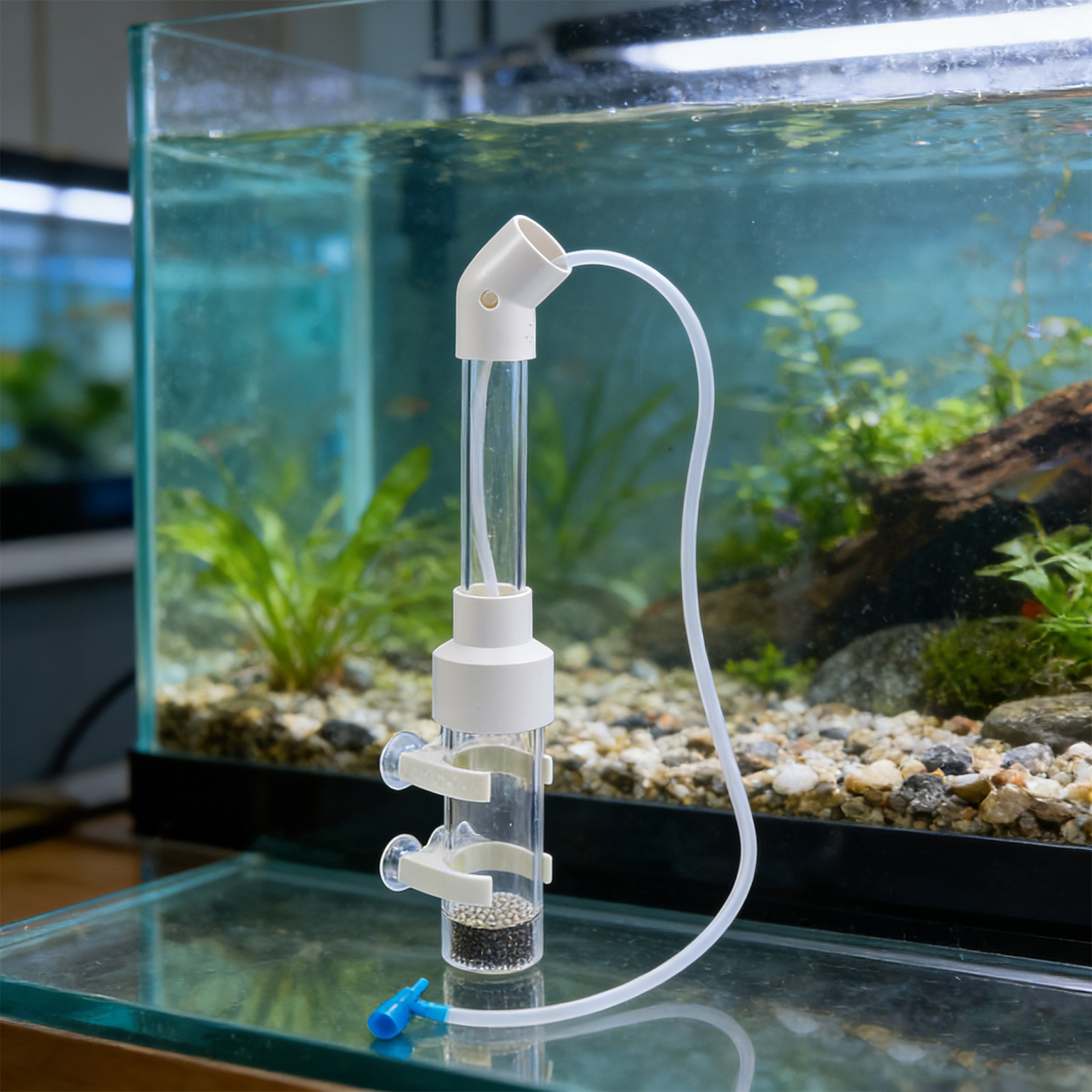 طقم حاضنة بيض السمك الأوتوماتي - مراجعة Box Fish In Aquarium وسعره