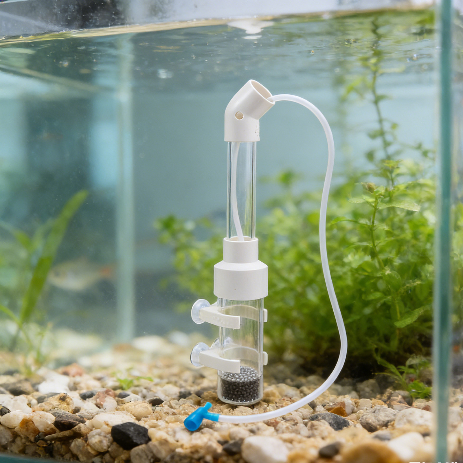 طقم حاضنة بيض السمك الأوتوماتي - مراجعة Box Fish In Aquarium وسعره