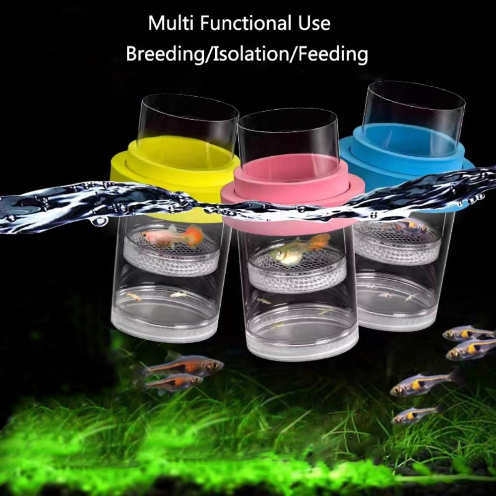 البلاستيك العائمة تربية الأسما - مراجعة Box Fish In Aquarium وسعره