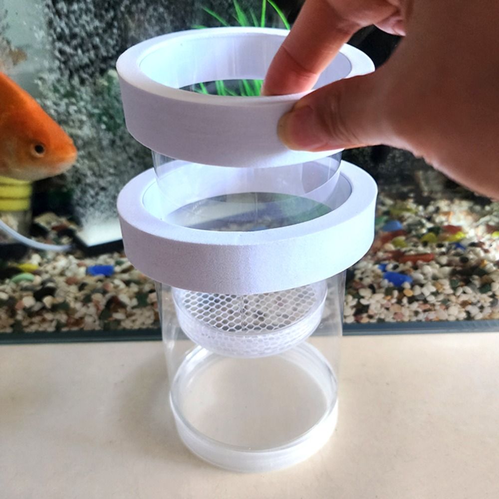 البلاستيك العائمة تربية الأسما - مراجعة Box Fish In Aquarium وسعره