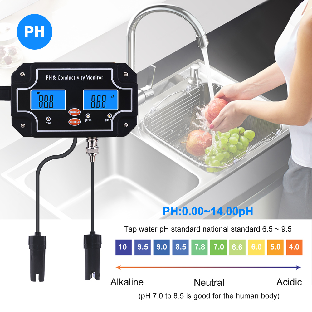Yieryi الرقمية على الانترنت PH - مراجعة Aquarium Fish In Online وسعره