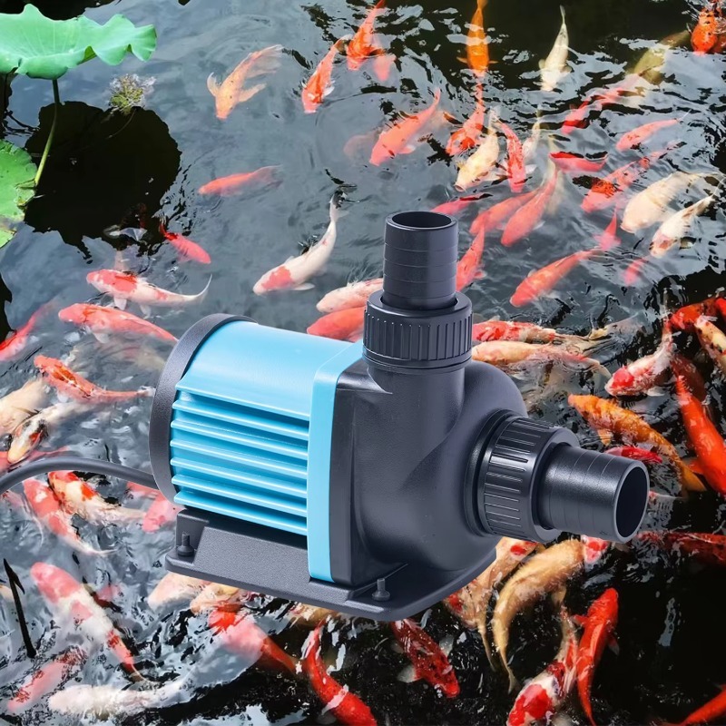 تيار مستمر 24 فولت نافورة الشم - مراجعة Aquarium Fish For Sale وسعره