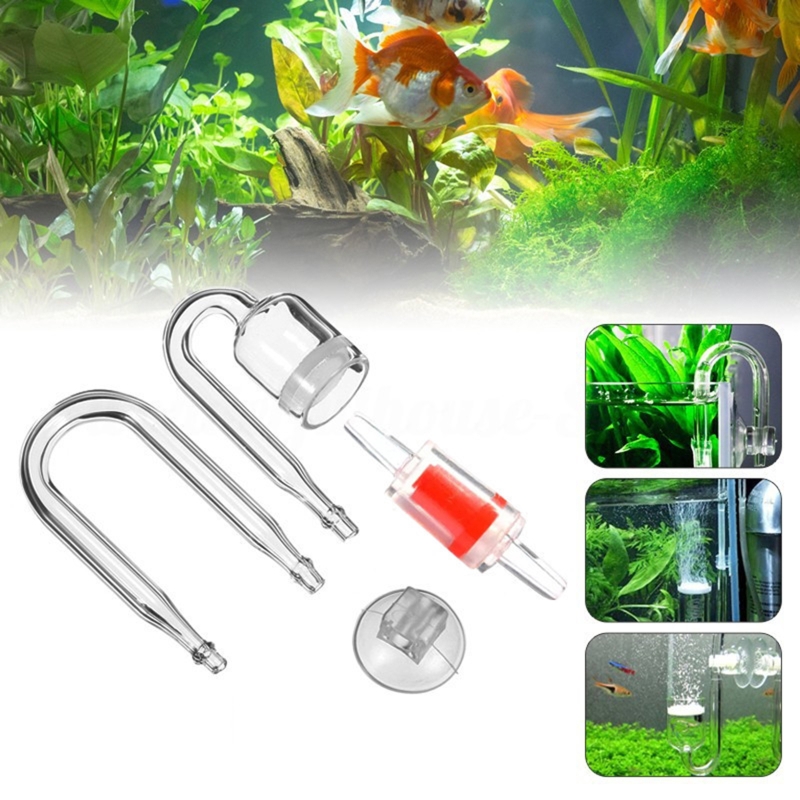 ناشر CO2 لحوض السمك ، خزان زجا - مراجعة Aquarium Fish Buy وسعره