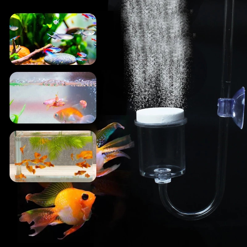 ناشر CO2 لحوض السمك ، خزان زجا - مراجعة Aquarium Fish Buy وسعره
