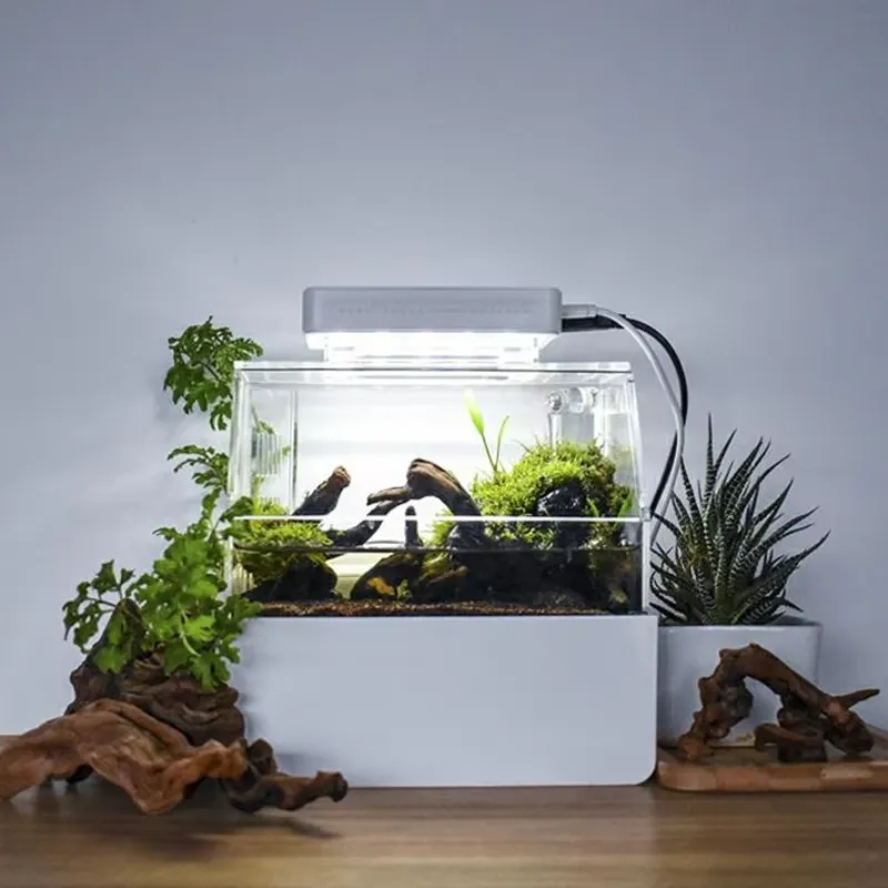 حوض أسماك مكتبي مخصص من ريلاكس - مراجعة Aquarium Fish For Sale وسعره